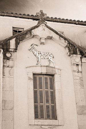 Un chamois sur une façade de Carcès