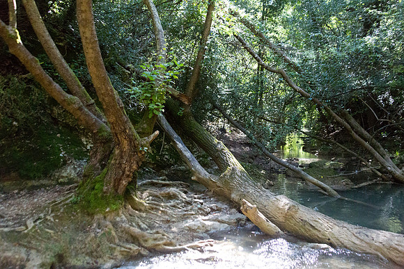 Excursion au Vallon des Carmes à Barjols