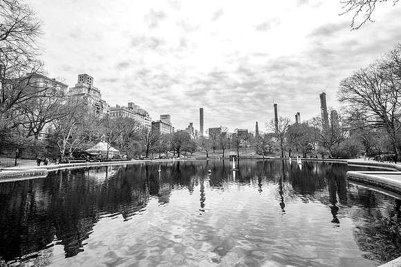 Ambiance à central Park