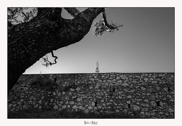 Tout Marseille