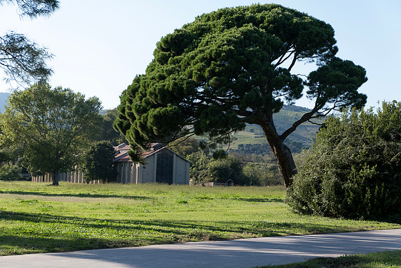 Le parc des Paulilles