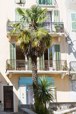 Façade et palmier à Barjols