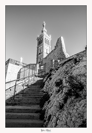 Tout Marseille