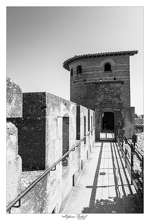 Carcassonne