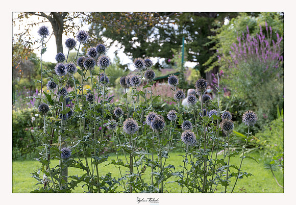 Giverny