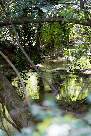 Excursion au Vallon des Carmes à Barjols
