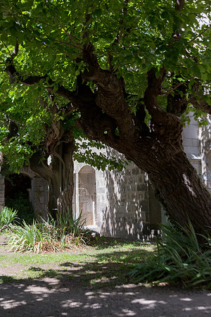 Abbaye de la Celle