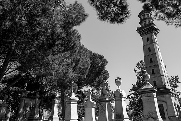 Sous les pins au cimetière Saint-Pierre