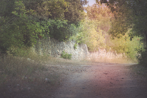 Ruines du château de Valbelle à Tourves