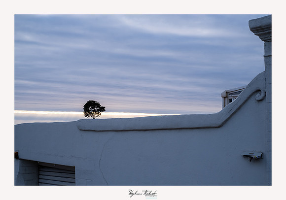 Tout Marseille
