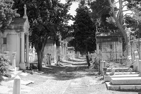 Une allée du cimetière Saint-Pierre