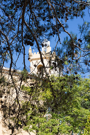 Le clocher du sanctuaire de Cotignac