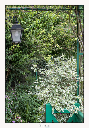 Giverny