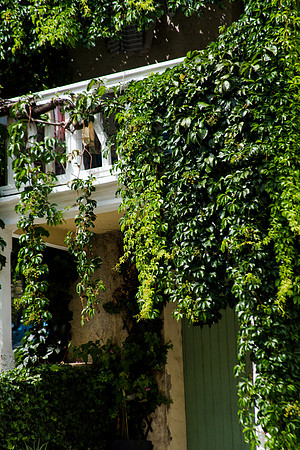 Maison du lierre à Carcès
