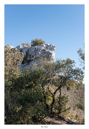 Randonnée dans les Basses-Gorges du Verdon (05)