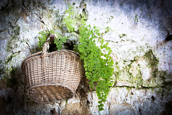 Cotignac, village fleuri de Provence verte
