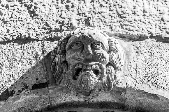 Brignoles en Provence Verte