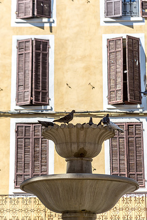 Brignoles en Provence Verte