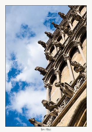 Dijon