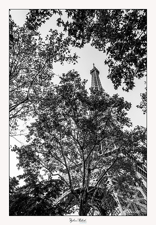 La Tour Eiffel