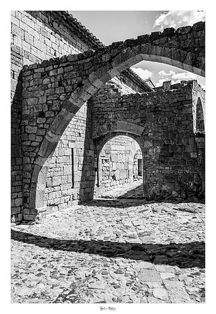 L'abbaye du Thoronet