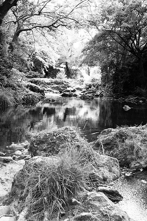 Rives du Caramy à Carcès